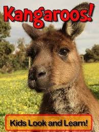 Image result for Reading Kangaroos