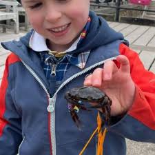 Image result for Ilfracombe Badminton Club