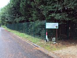 Image result for Kingston Bagpuize & Southmoor Bowls Club