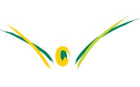 Image result for Yeovil and District Swimming Club