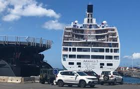 Attēlu rezultāti vaicājumam “Aranei exuvia”