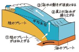 Image result for 高潮 津波 別物