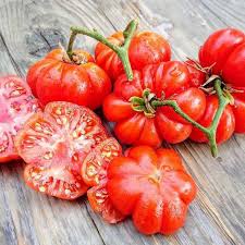 Afbeeldingsresultaat voor costoluto genovese tomato