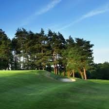 Image result for Hawkhurst Golf Club, Kent