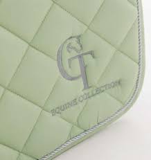 Image result for Patchett`s Green Riding Club