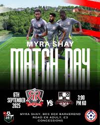 Image result for Dearne & District F C