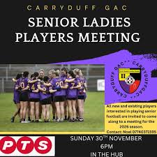 Image result for Carryduff Gaelic Athletic Club