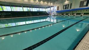 Image result for Worcester Divers Octopush Club