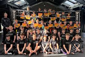 Image result for Kicking Dragon Kung Fu School, Belfast