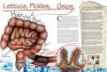 Images related to Gluten-Sensitive Enteropathy