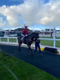 Image result for Ayr Riding Club