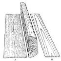 File:Plain quarter sawn .png - Wikipedia, the free encyclopedia