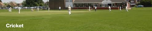 Image result for Old Wilsonians Cricket Club