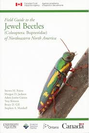 Attēlu rezultāti vaicājumam “Buprestidae”