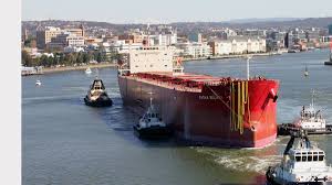 Image result for Pasha bulker