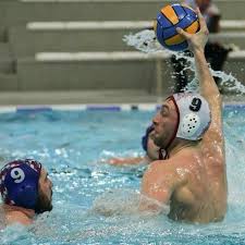 Image result for Cheltenham Swimming & Water Polo Club