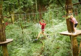 Image result for The Go Ape Experience (Delamere Forest)