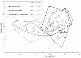 Attēlu rezultāti vaicājumam “Dendrocopos medius nest”