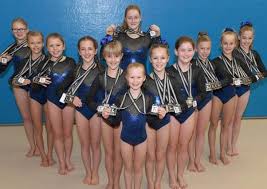Image result for Lincoln Gymnastics Club