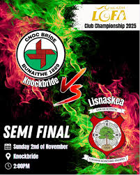 Image result for Lisnaskea Emmetts Gfc