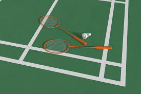 Image result for Acton Badminton Club