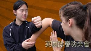 Image result for Norwich Autodefence Wing Tchun