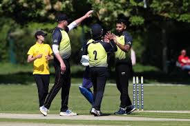 Image result for Fives and Heronians Cricket Club