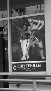 Image result for Cheltenham Cc