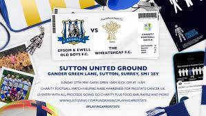 Image result for Wheatsheaf Heatherside Football Club