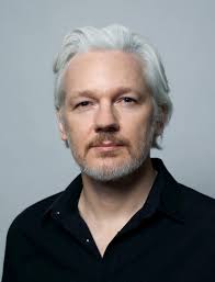 Image result for julian assange