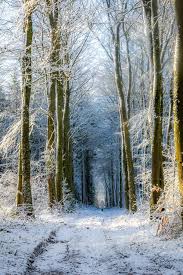 Image result for North Dorset