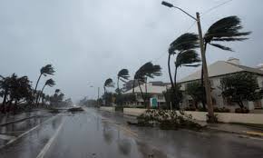 Image result for Hurricanes