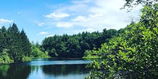 Image result for Dunstable