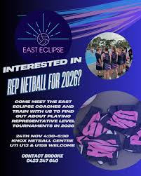 Image result for Fm Eclipse Netball Club