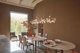 Attēlu rezultāti vaicājumam “Heracleum”