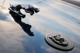 Image result for Poseidon Dark Green 1985 Jaguar