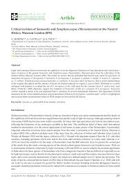 Attēlu rezultāti vaicājumam “Symphytocarpus flaccidus sessile”