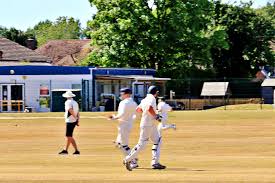 Image result for Plumtree Cricket Club