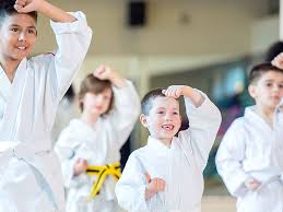 Image result for Somerset Jeet Kune Do