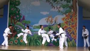 Image result for Chichester Tae Kwon Do