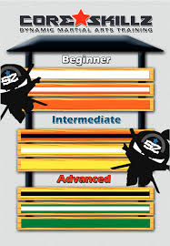 Image result for Skillz Martial Arts