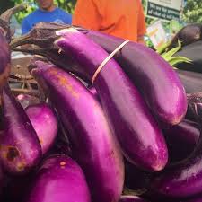 Afbeeldingsresultaat voor fengyuan purple eggplant