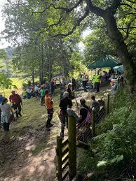 Image result for Row Brow Field Archery