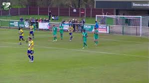 Image result for Leatherhead Swans Club