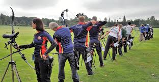 Image result for Surrey Bowmen