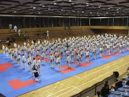 Image result for London Colney Tae Kwon Do  (I.T.F. / LTSI / A.F.T.)