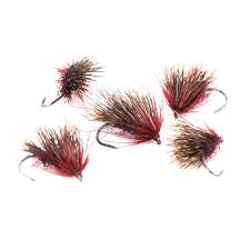 Image result for Segdoune Flyfishers` Angling Club