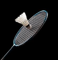 Image result for Borden Social Badminton Club