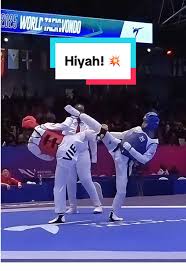 Image result for Taekwondo Witney