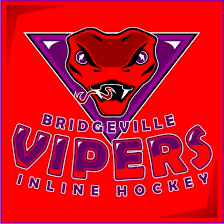 Image result for Vipers Roller Hockey Team